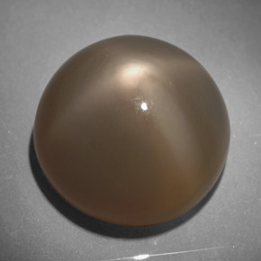 Pierre de lune étoilée gris naturelle coupe roude, 18,64 ct, translucide