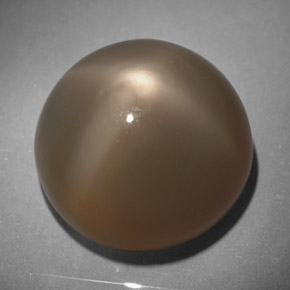 Pierre de lune étoilée gris naturelle coupe roude, 18,64 ct, translucide
