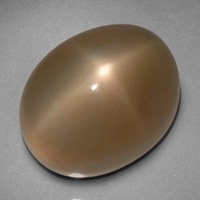 Pierre de lune étoilée gris naturelle transparent, 33,24 ct, transparent / translucide