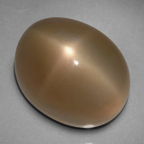 Pierre de lune étoilée gris naturelle transparent, 33,24 ct, transparent / translucide