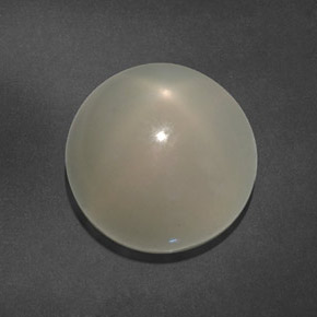 Pierre de lune étoilée blanc naturelle transparent, 15,64 ct, transparent / translucide