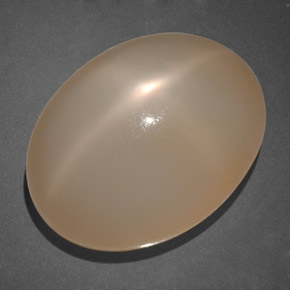 Pierre de lune étoilée orange naturelle transparent, 19,69 ct, transparent / translucide