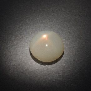 Pierre de lune étoilée Crème naturelle Coupe roude, 9.61 ct, Transparent