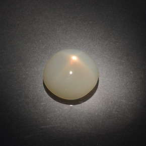 Pierre de lune étoilée Crème naturelle Coupe roude, 9.61 ct, Transparent
