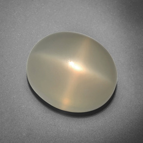 Pierre de lune étoilée Crème naturelle Coupe ovale, 15.43 ct, Translucide