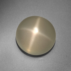 Pierre de lune étoilée crème naturelle coupe roude, 13,66 ct, translucide