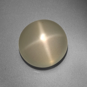Pierre de lune étoilée crème naturelle coupe roude, 13,66 ct, translucide
