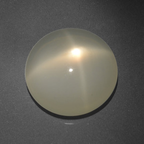 Pierre de lune étoilée crème naturelle coupe roude, 16,68 ct, translucide