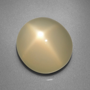Pierre de lune étoilée crème naturelle coupe ovale, 9,20 ct, translucide