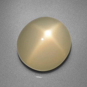Pierre de lune étoilée crème naturelle coupe ovale, 9,20 ct, translucide