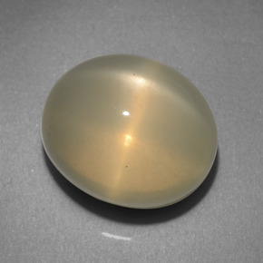Pierre de lune étoilée crème naturelle coupe ovale, 10,31 ct, translucide
