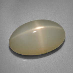 Pierre de lune étoilée crème naturelle coupe ovale, 12,06 ct, translucide