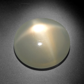 Pierre de lune étoilée crème naturelle coupe ovale, 18,46 ct, translucide