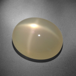 Pierre de lune étoilée crème naturelle coupe ovale, 20,88 ct, translucide