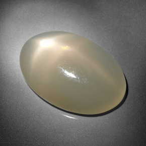 Pierre de lune étoilée crème naturelle coupe ovale, 16,18 ct, translucide