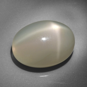 Pierre de lune étoilée crème naturelle coupe ovale, 23,34 ct, translucide