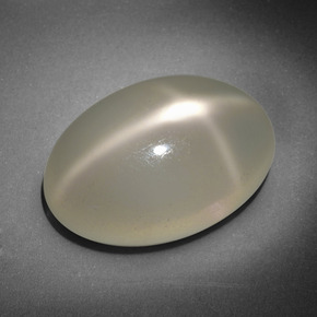 Pierre de lune étoilée Crème naturelle Coupe ovale, 16.18 ct, Translucide
