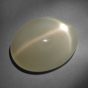 Pierre de lune étoilée Crème naturelle Coupe ovale, 23.66 ct, Translucide