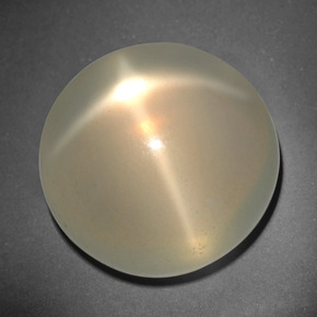 Pierre de lune étoilée crème naturelle coupe roude, 26,12 ct, translucide