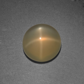 Pierre de lune étoilée orange naturelle coupe roude, 4,42 ct, translucide