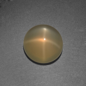 Pierre de lune étoilée orange naturelle coupe roude, 4,42 ct, translucide
