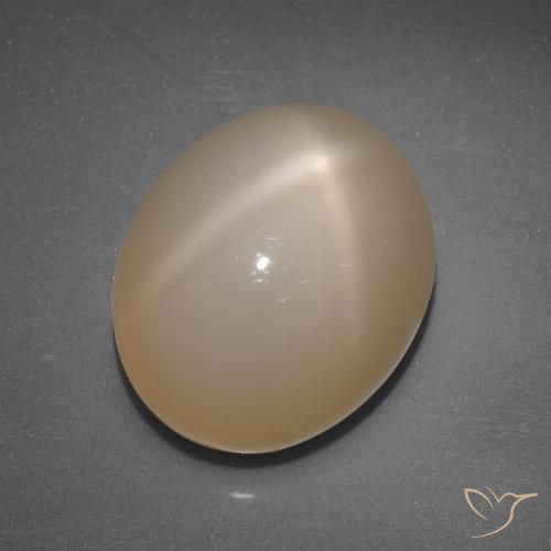6.89ct Naturel Orange moyen Pierre de lune étoilée, ovale, Translucide