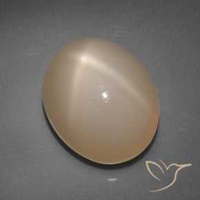 Pierre de lune étoilée Orange moyen naturelle ovale, 6.89 ct, Translucide