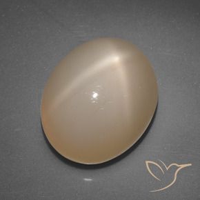 Pierre de lune étoilée Orange moyen naturelle ovale, 6.89 ct, Translucide