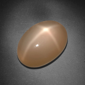 Pierre de lune étoilée orange naturelle coupe ovale, 8,01 ct, translucide