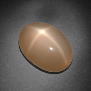 Pierre de lune étoilée orange naturelle coupe ovale, 8,01 ct, translucide