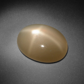 Pierre de lune étoilée Crème naturelle Coupe ovale, 8.09 ct, Translucide