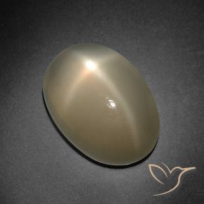 Pierre de lune étoilée orange naturelle coupe ovale, 7,41 ct, translucide