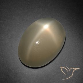 Pierre de lune étoilée orange naturelle coupe ovale, 7,41 ct, translucide