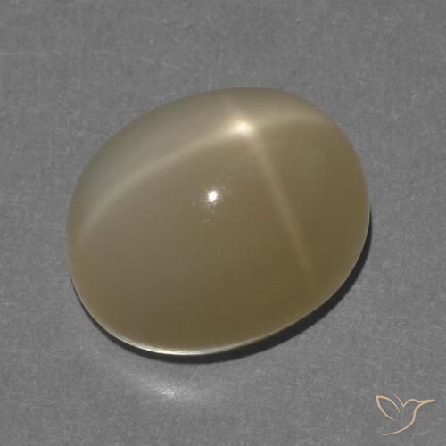 8.56ct Naturel Orange brunâtre Pierre de lune étoilée, ovale, Translucide