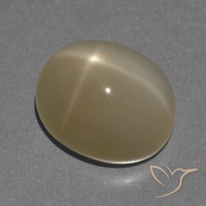Pierre de lune étoilée Orange brunâtre naturelle ovale, 8.56 ct, Translucide