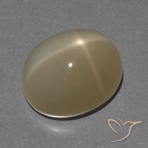 Pierre de lune étoilée Orange brunâtre naturelle ovale, 8.56 ct, Translucide