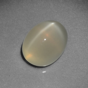 Pierre de lune étoilée crème naturelle coupe ovale, 2,87 ct, translucide
