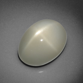 Pierre de lune étoilée crème naturelle coupe ovale, 10,16 ct, translucide