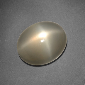Pierre de lune étoilée crème naturelle coupe ovale, 6,62 ct, translucide