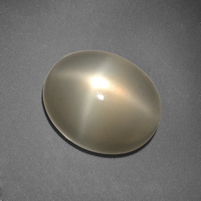 Pierre de lune étoilée crème naturelle coupe ovale, 6,62 ct, translucide