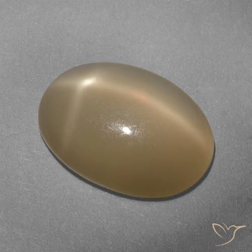5.33ct Naturel Orange moyen-foncé Pierre de lune étoilée, ovale, Translucide