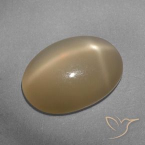 Pierre de lune étoilée Orange moyen-foncé naturelle ovale, 5.33 ct, Translucide
