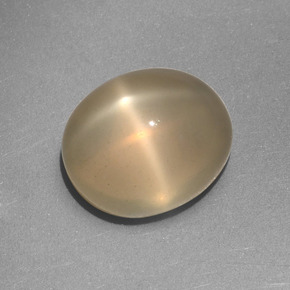 Pierre de lune étoilée Crème naturelle Coupe ovale, 5.25 ct, Translucide