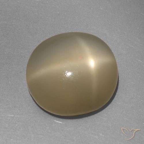 6.41ct Naturel Orange brunâtre Pierre de lune étoilée, ovale, Translucide