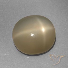 Pierre de lune étoilée Orange brunâtre naturelle ovale, 6.41 ct, Translucide