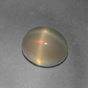 Pierre de lune étoilée crème naturelle coupe ovale, 4,97 ct, translucide