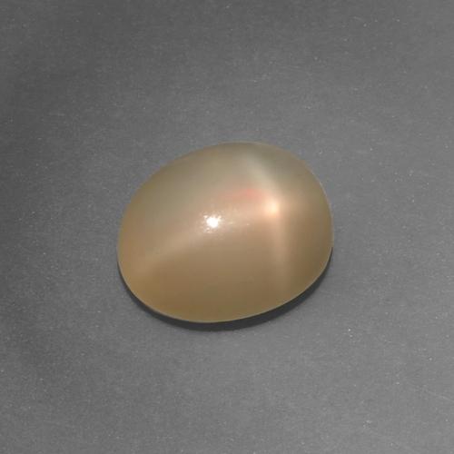 Pierre de lune étoilée orange naturelle coupe ovale, 4,36 ct, translucide