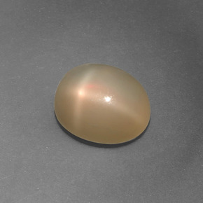 Pierre de lune étoilée orange naturelle coupe ovale, 4,36 ct, translucide