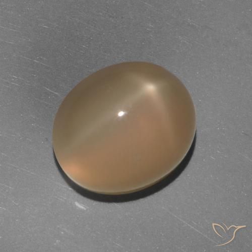5.84ct Naturel Orange moyen-foncé Pierre de lune étoilée, ovale, Translucide, Photo A