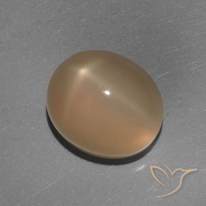 Pierre de lune étoilée Orange moyen-foncé naturelle ovale, 5.84 ct, Translucide